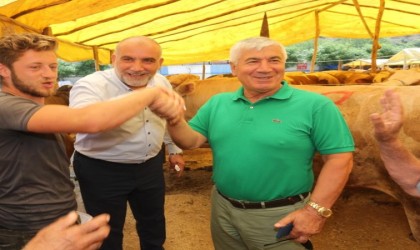 Kurban pazarında veteriner gözetiminde satış