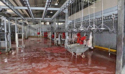 Kurban satış yerleri ve mezbahalarda ilaçlama çalışmaları tamamlandı