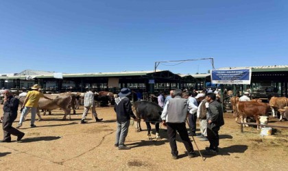 Kurbanlık keçisini dolandırıcılara kaptıran yetiştiricinin imdadına polis yetişti
