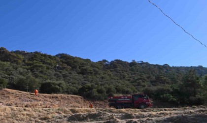 Kuşadasındaki orman yangını büyük ölçüde kontrol altına alındı