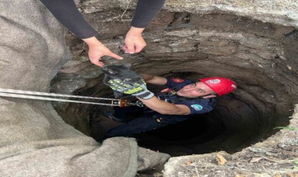 Kuyuya düşen yavru kedi kurtarıldı