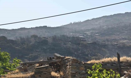 Manisadaki yangınlar geçen seneye göre 2 kat arttı