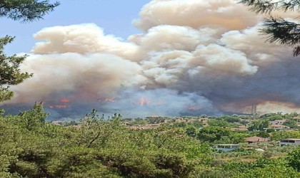 Mendereste orman yangını: Uçaklar ve helikopterler bölgede