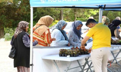 Mezarlık ziyaretleri için 20 bin çiçek dağıtıldı