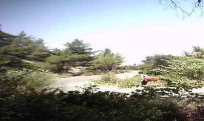 Milli parkta yurtdışına kaçma hazırlığı yaparken yakalandı