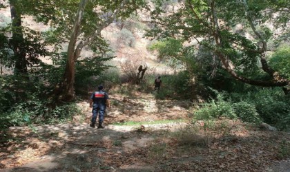 Ormanlık alanda mangal yakan 31 kişi cezadan kaçamadı