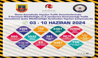 Polis ve jandarmanın trafik denetimleri