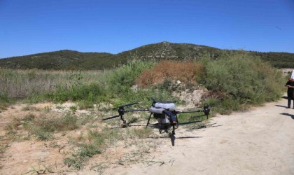 Selçukta ilaçlama çalışması yapıldı