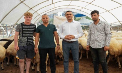 Seyhan Belediyesi Kurban Bayramına hazır