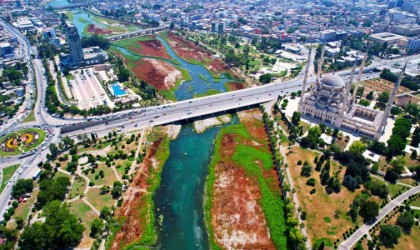 Seyhan Nehrini kaplayan yosunlar insan boyunu geçti, kötü koku kenti kapladı