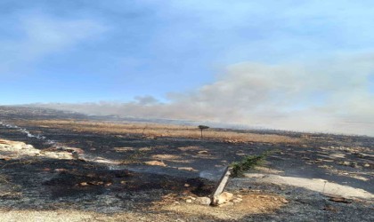 Silvanda örtü yangını