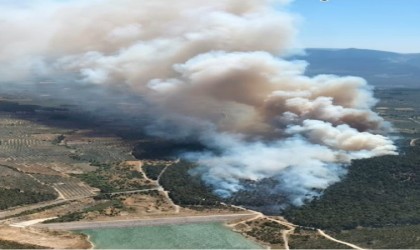 Somada orman yangını