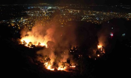 Tirede çıkan yangında beş dönümlük zeytinlik alan zarar gördü