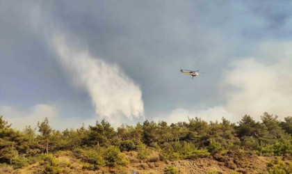 Veterinerlerden yangına can dostu desteği
