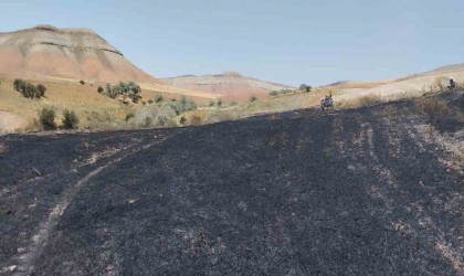 Yangın badem ve fıstık ağaçlarına zarar verdi