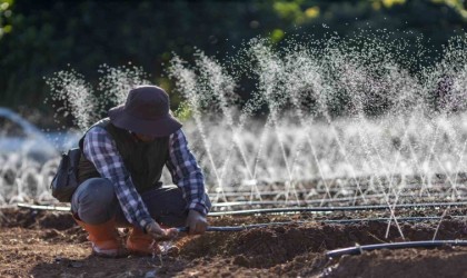 Zorlu Enerji Osmangazi Elektrik Perakende, çiftçilere yönelik hizmetlerini genişletti