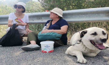 Alevler evinin bahçesine kadar geldi, gözyaşlarına hakim olamadı