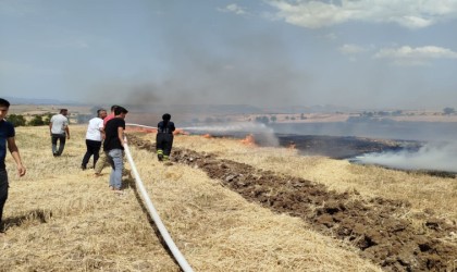 Anız yangını ekili alanlara sıçradı, 20 dönüm alan zarar gördü