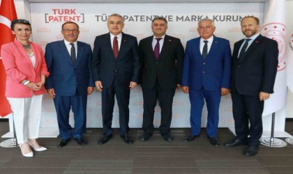 Aydın enginarı coğrafi işaret tesciline kavuşuyor