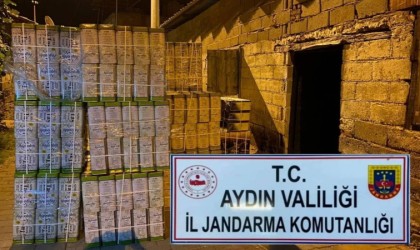 Aydında sahte bal operasyonu: 2 ton 960 kilo ele geçirildi