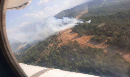 Aydında yıldırım kaynaklı yangınlar söndürüldü