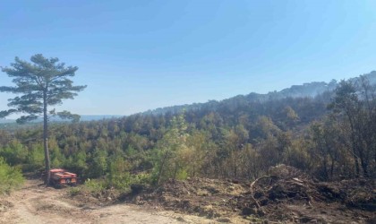 Ayvacıktaki orman yangını 19 saat sonra kontrol altına alındı