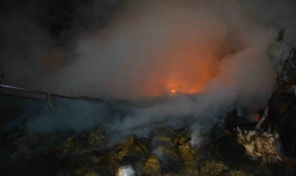 Ayvalıkta samanlıkta çıkan yangın zeytinlik alana sıçramadan kontrol altına alındı