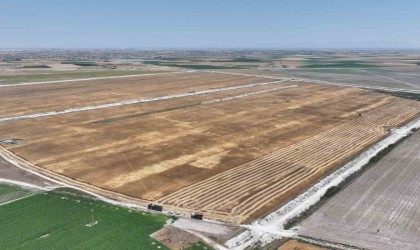 Başkan Altay: “Susuz tarımla yetiştirdiğimiz yerli buğdayın hasadını yaptık”