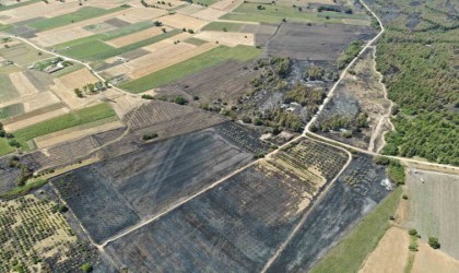 Başkan Bozbeyden ağaçlandırma çağrısı