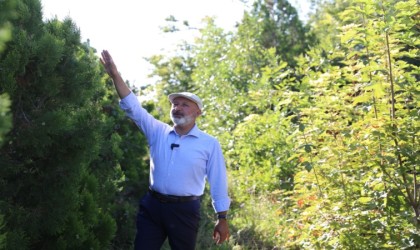 Başkan Çolakbayrakdar: Daha yeşil bir Kayseri için çalışıyoruz