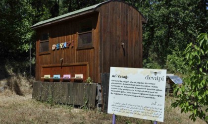 Binlerce arının üzerine yatan, daha dinç kalkıyor