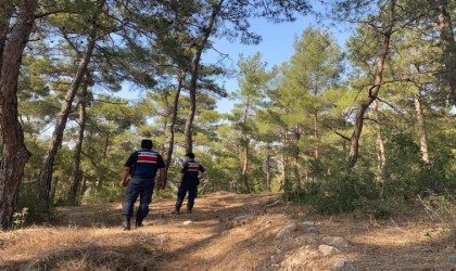 Bozdoğanda orman yangını devriyesi