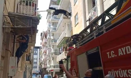 Bu kedi dokuz canlı: Kurtarmaya gelen itfaiyeciden korkup 4üncü kattan atlayarak kaçtı