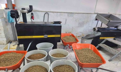 Büyükşehir can dostlar için mama üretiyor, tasarruf sağlıyor