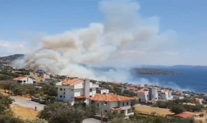 Dikilideki orman yangınına takviye