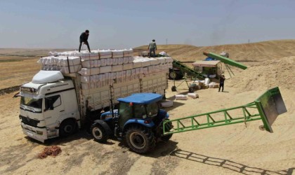 Diyarbakırda aşırı sıcak altında preslenen samanlar Türkiyenin birçok noktasına gönderiliyor