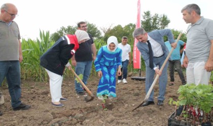 Düzceli kadın çiftçiler tarımsal yeniliklerle buluşuyor
