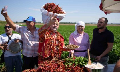 Edirnede kavurucu sıcaklar Karaağaç biberinde hasadı geciktirdi