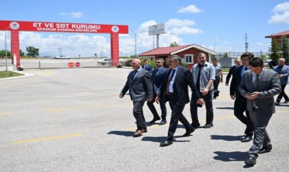 Erzurum ETB yıllık 2 bin ton kırmızı et üretiyor
