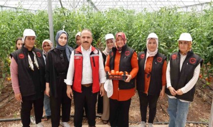 Gaziantepte seralara kadın eli değdi