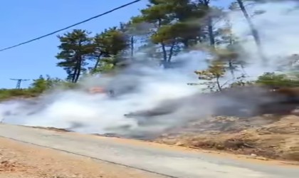 Gazipaşada ormanlık alanda çıkan yangın büyümeden söndürüldü