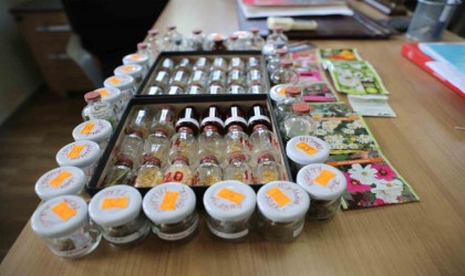 İlkadımda ‘ata tohumu seferberliği