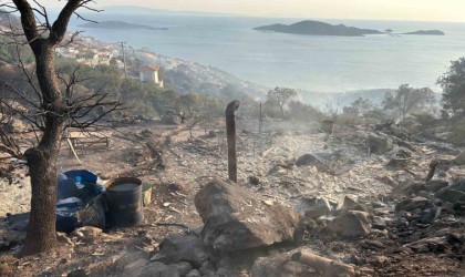 İzmirdeki yangında bir bağ evi kül oldu