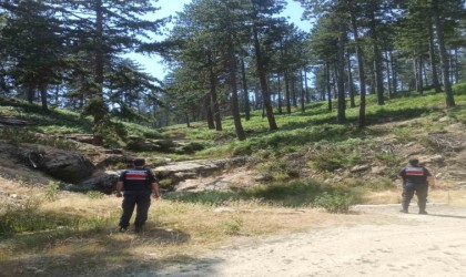 Jandarma devriyesi göz açtırmıyor