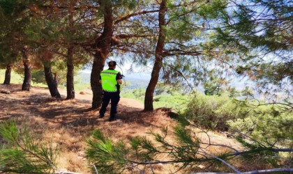 Jandarma ekipleri yasak bölgeye giren şahıslara cezai işlem uyguladı