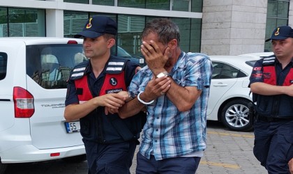 Jandarmanın sahte ehliyet operasyonda gözaltına alınanlar serbest bırakıldı