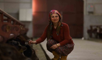Kadın girişimci 700 bin lira hibeyle 100 büyükbaş kapasiteli besi çiftliği kurdu