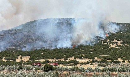 Kahramanmaraşta makilik alanda yangın