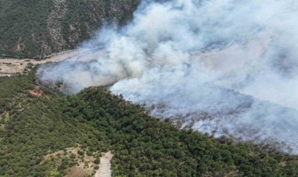 Karabükte yıldırım orman yangınına neden oldu