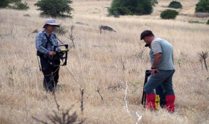 Malatya fayı yakın mercek altına alınıyor